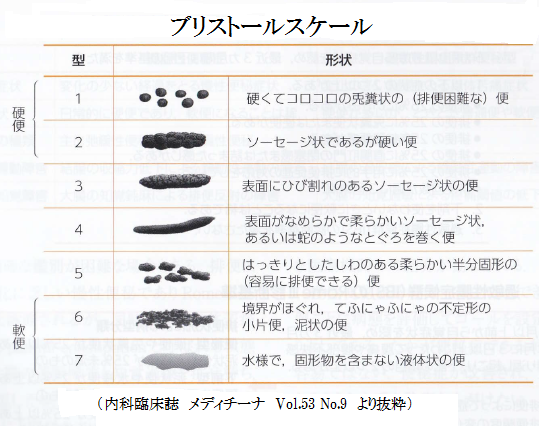 ブリストルスケール