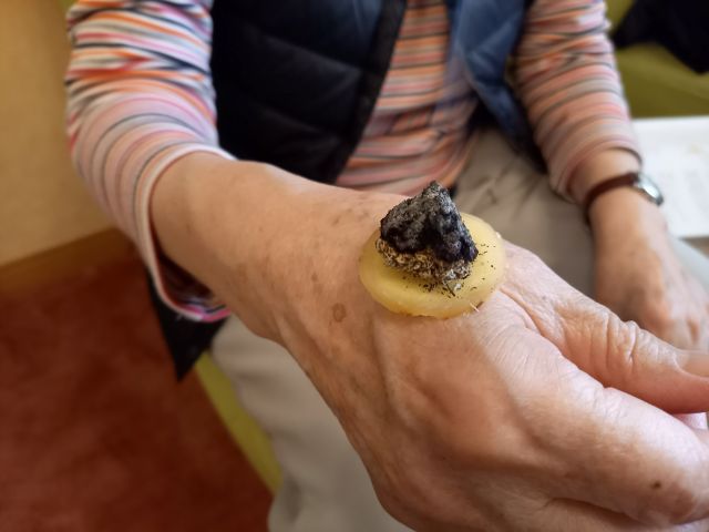 ショウガ灸