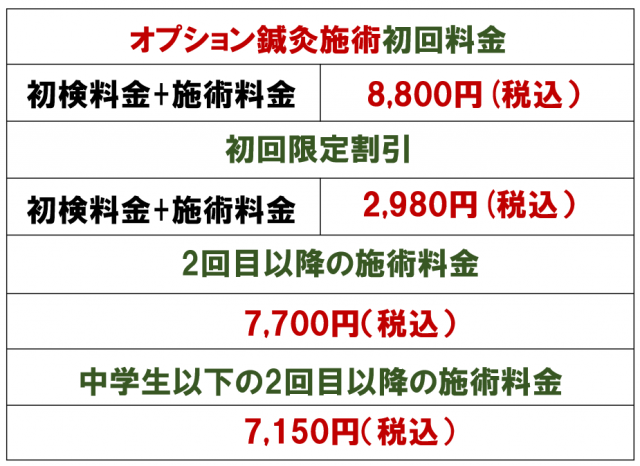 オプション鍼灸施術料金
